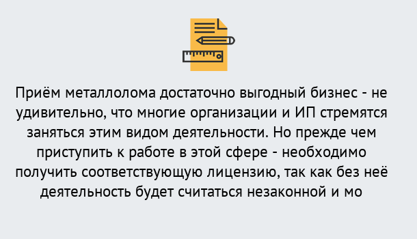 Почему нужно обратиться к нам? Рузаевка Лицензия на металлолом. Порядок получения лицензии. В Рузаевка