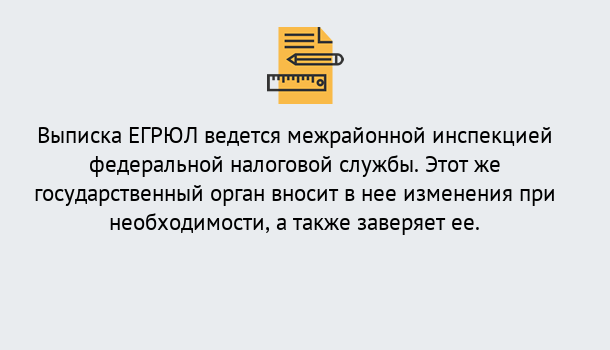 Почему нужно обратиться к нам? Рузаевка Выписка ЕГРЮЛ в Рузаевка ?