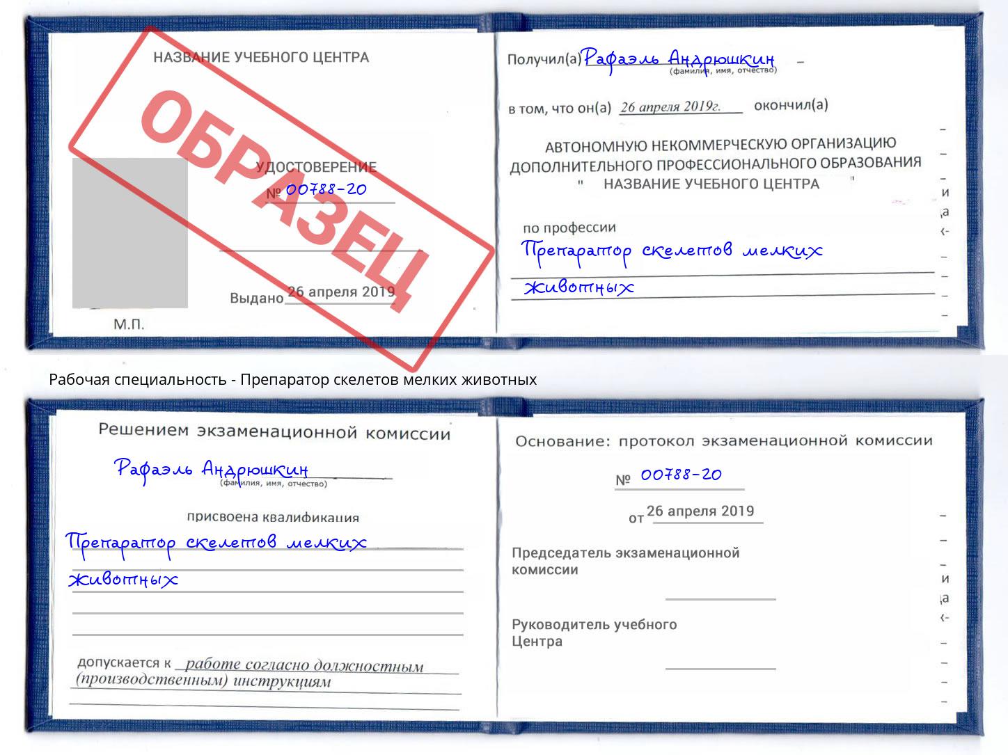 Препаратор скелетов мелких животных Рузаевка