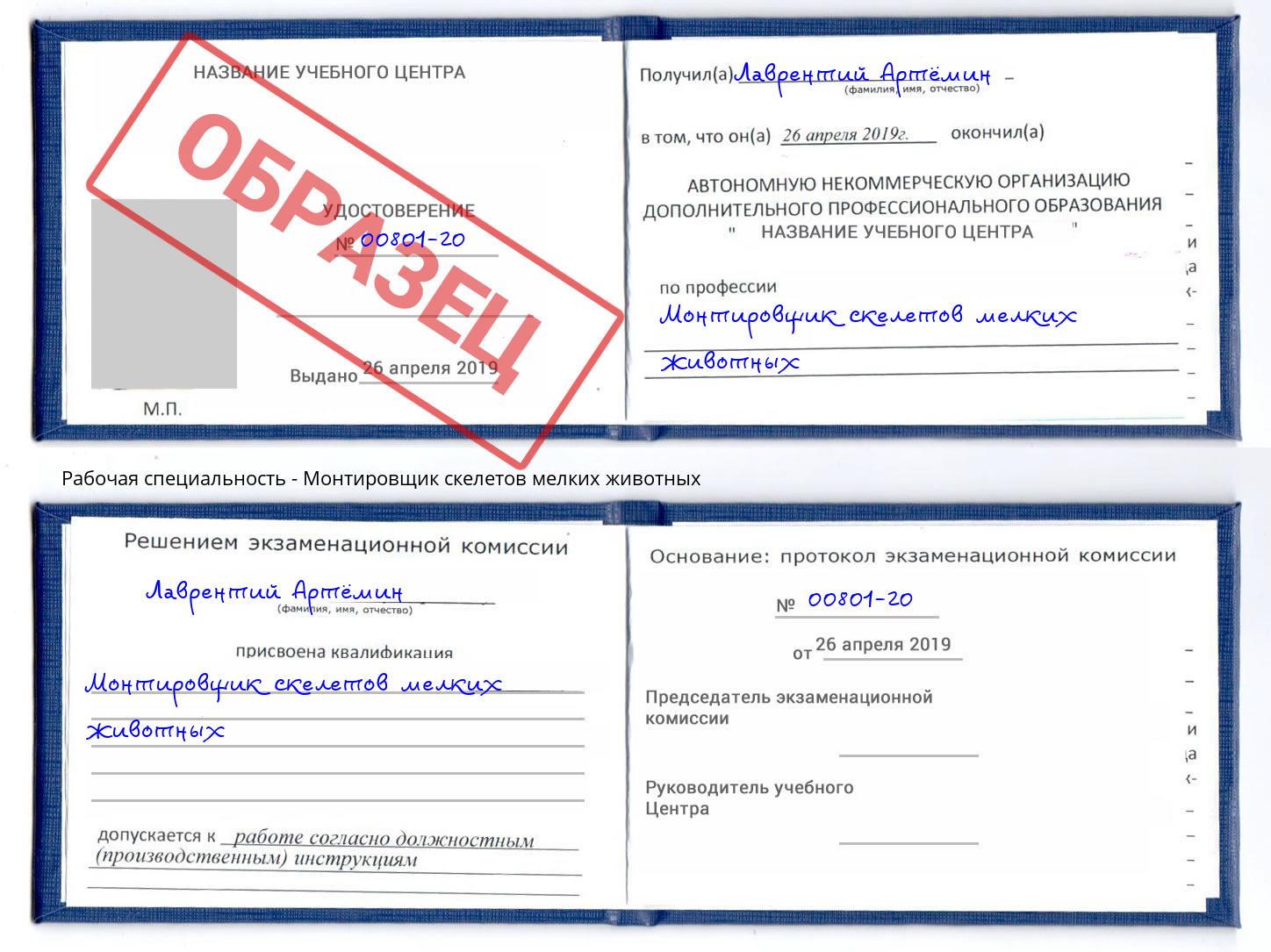 Монтировщик скелетов мелких животных Рузаевка