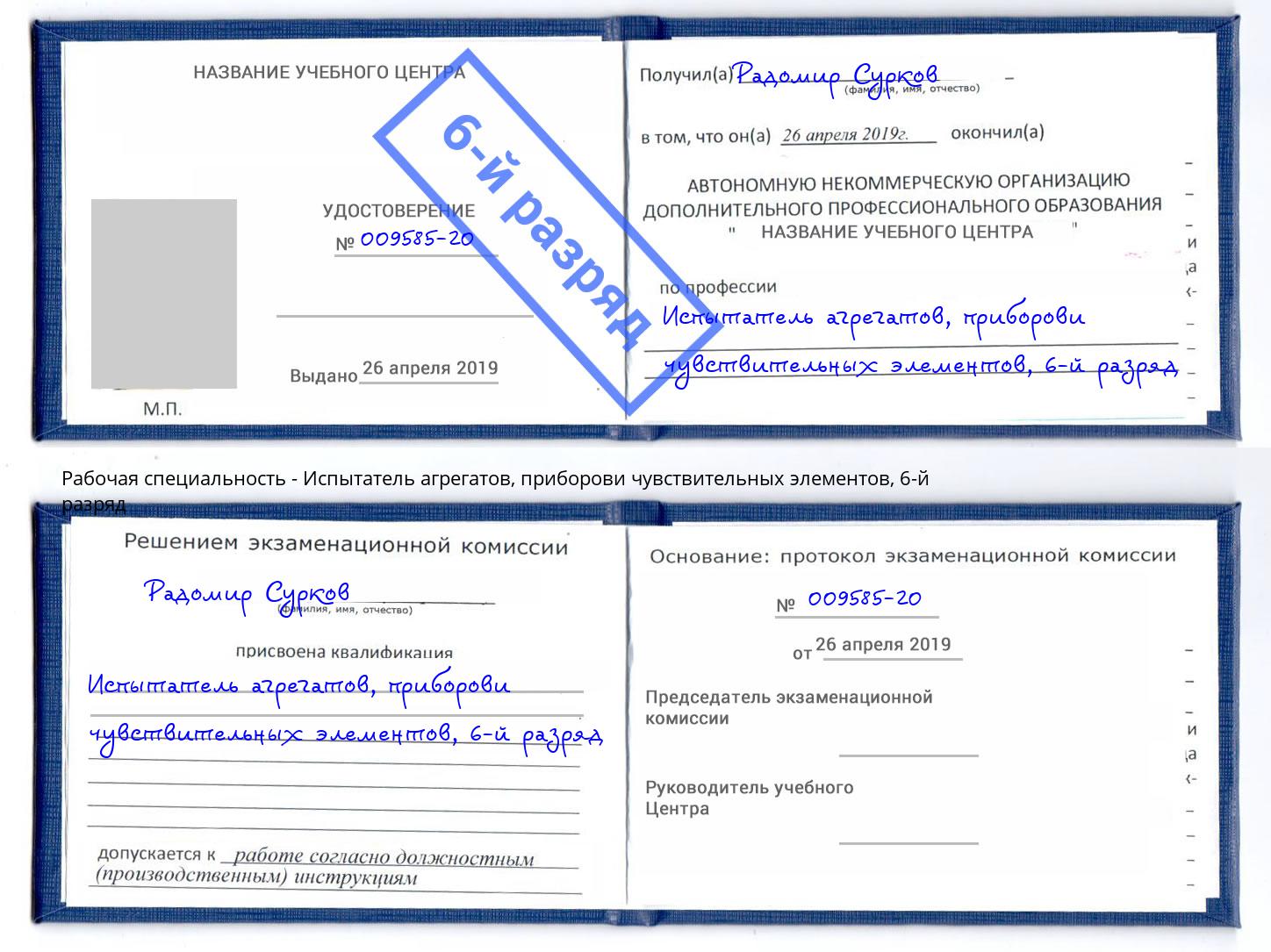 корочка 6-й разряд Испытатель агрегатов, приборови чувствительных элементов Рузаевка