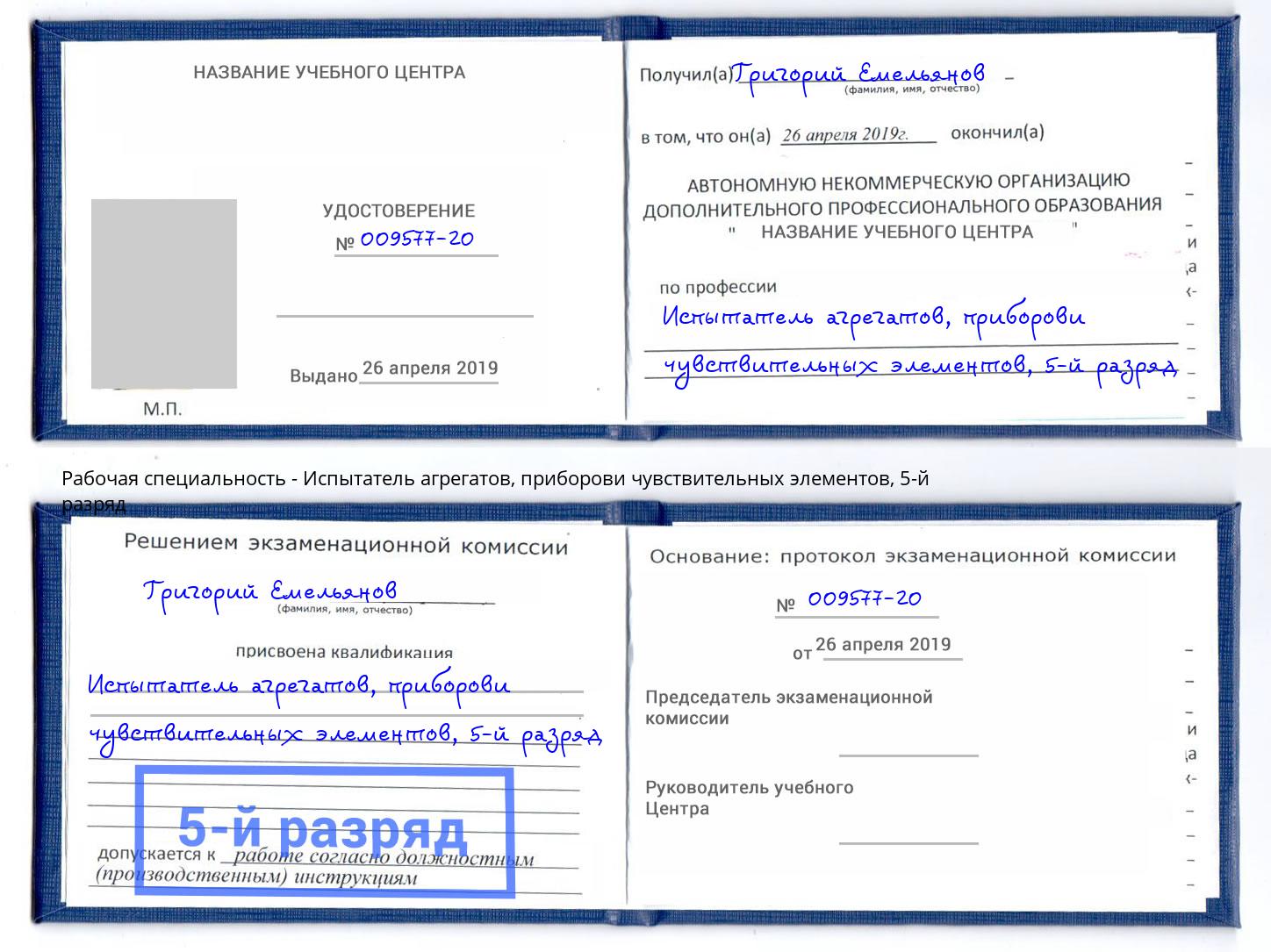 корочка 5-й разряд Испытатель агрегатов, приборови чувствительных элементов Рузаевка