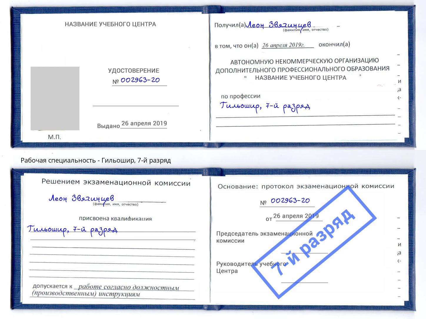 корочка 7-й разряд Гильошир Рузаевка