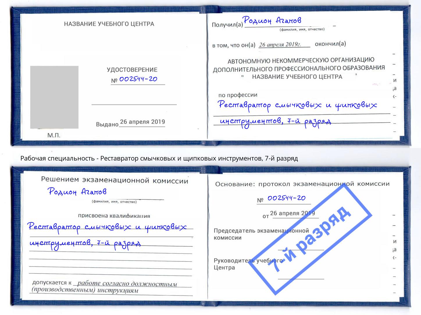 корочка 7-й разряд Реставратор смычковых и щипковых инструментов Рузаевка