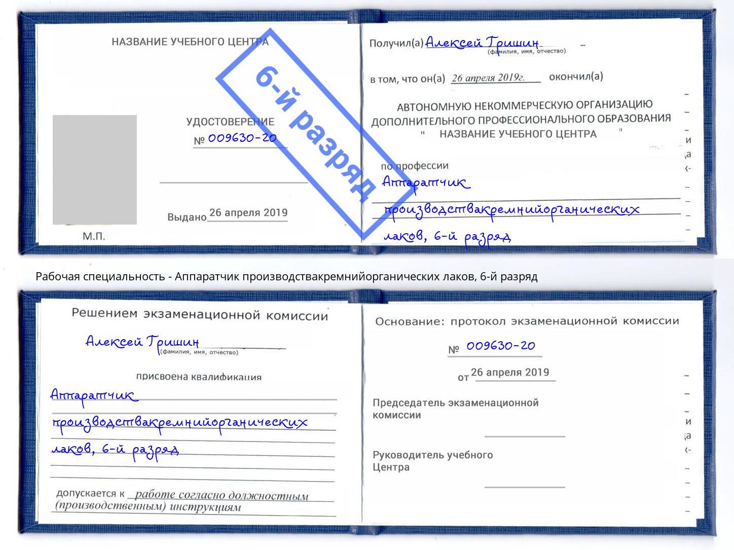 корочка 6-й разряд Аппаратчик производствакремнийорганических лаков Рузаевка