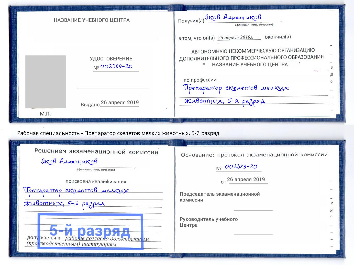 корочка 5-й разряд Препаратор скелетов мелких животных Рузаевка