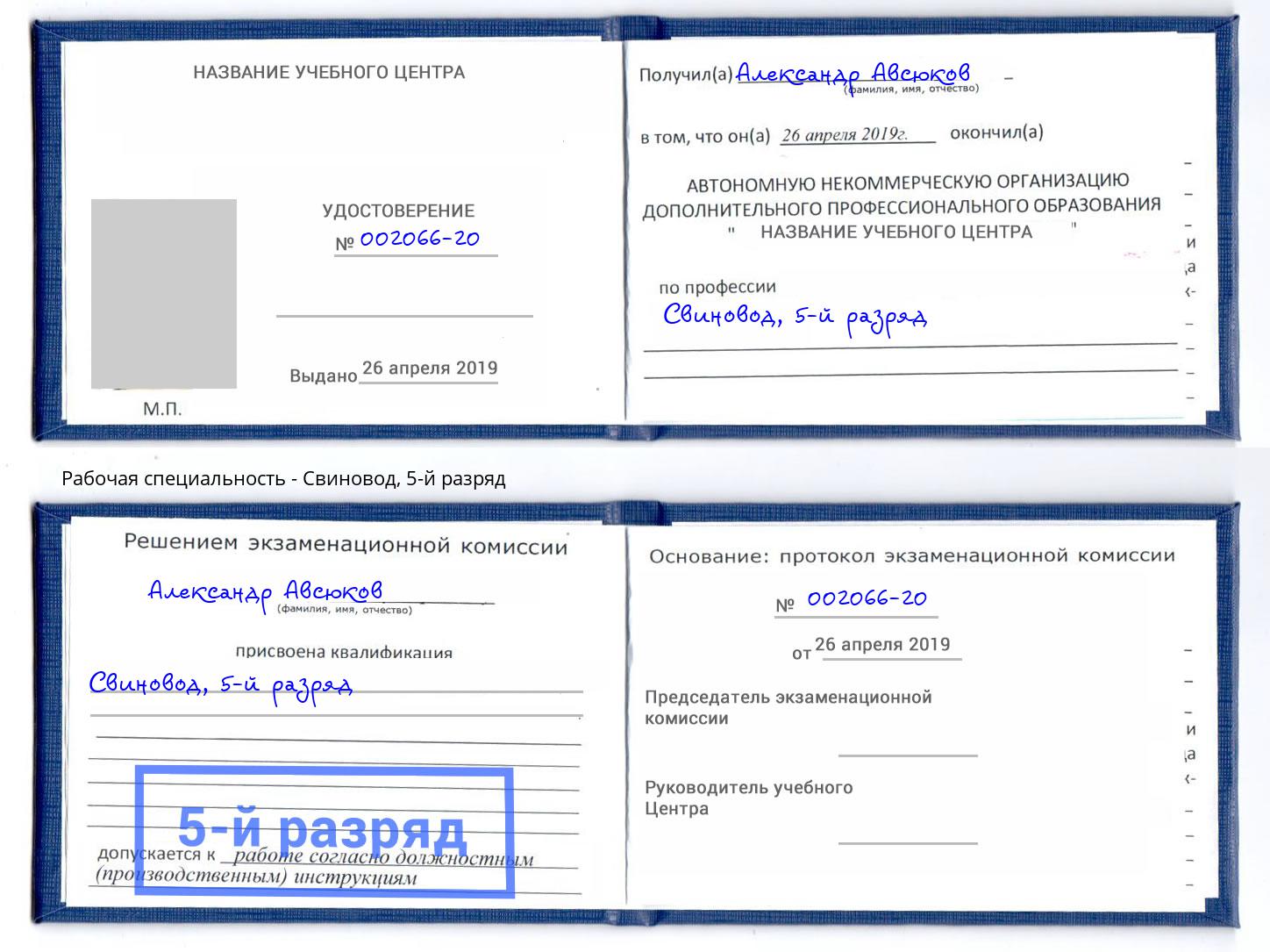 корочка 5-й разряд Свиновод Рузаевка