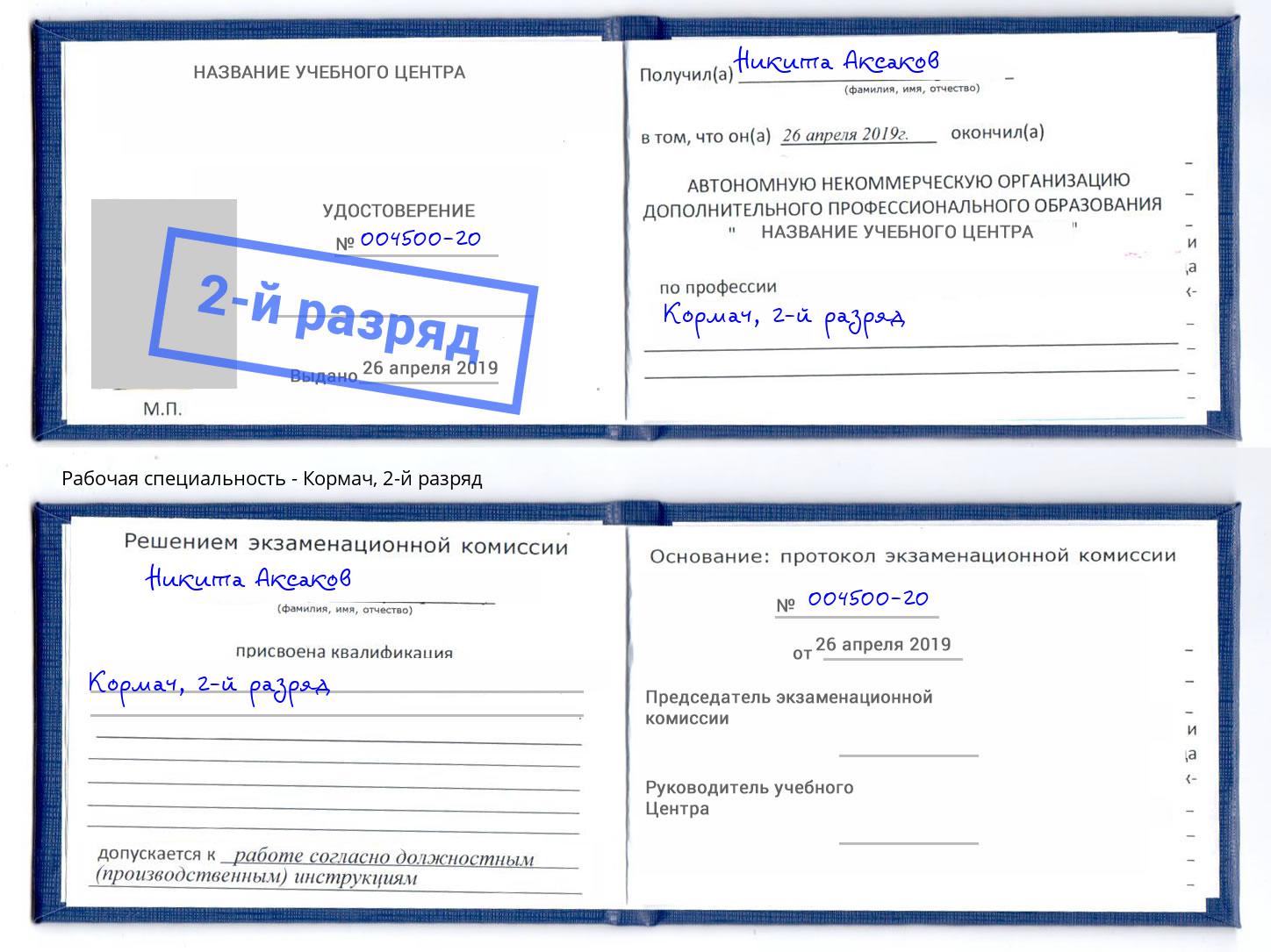 корочка 2-й разряд Кормач Рузаевка