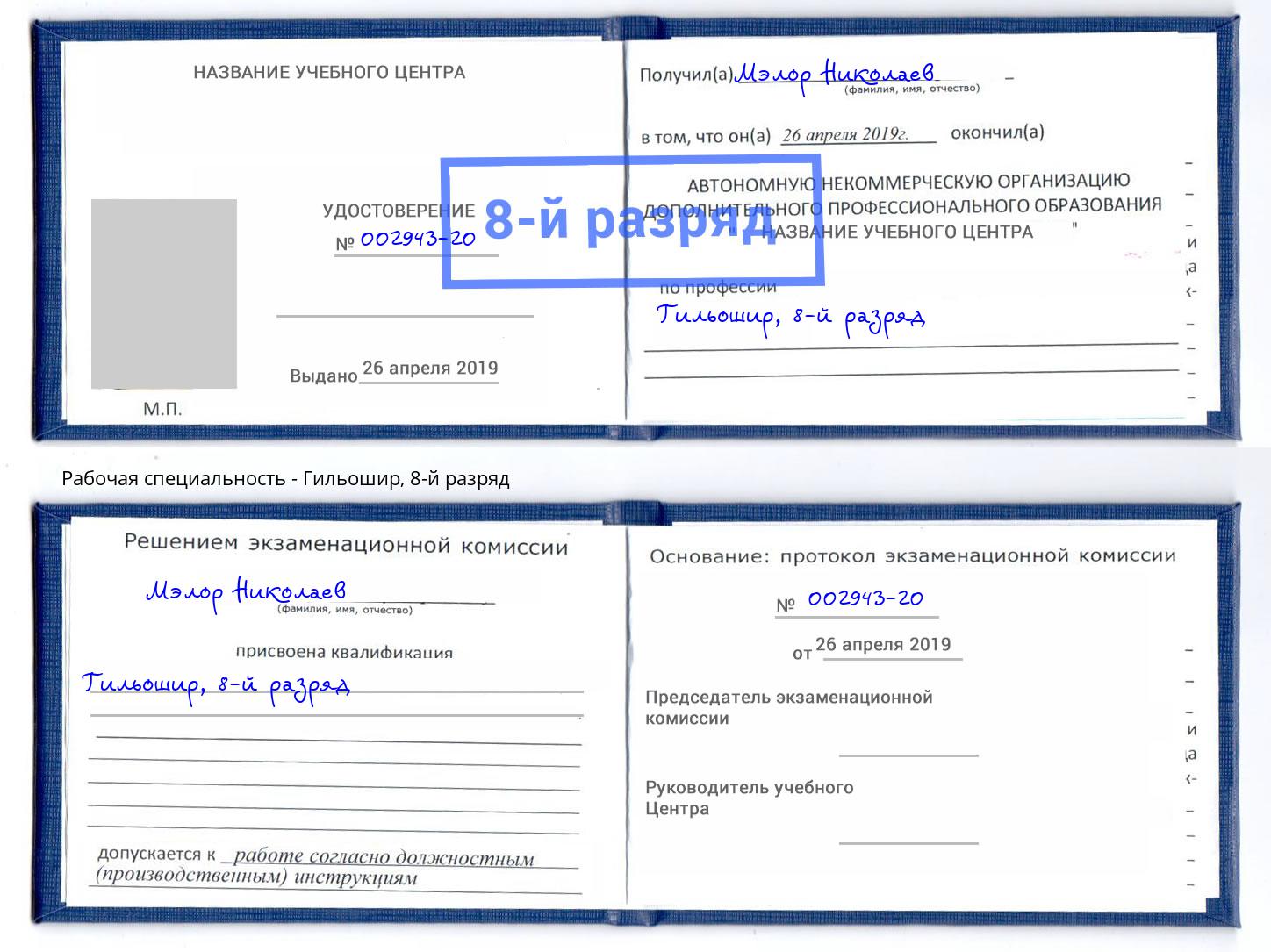 корочка 8-й разряд Гильошир Рузаевка