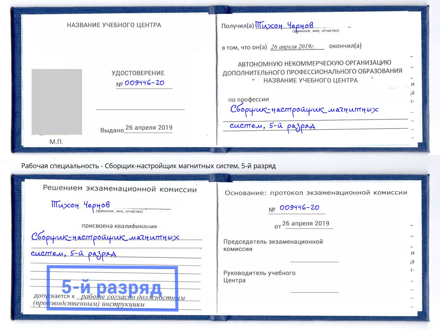 корочка 5-й разряд Сборщик-настройщик магнитных систем Рузаевка