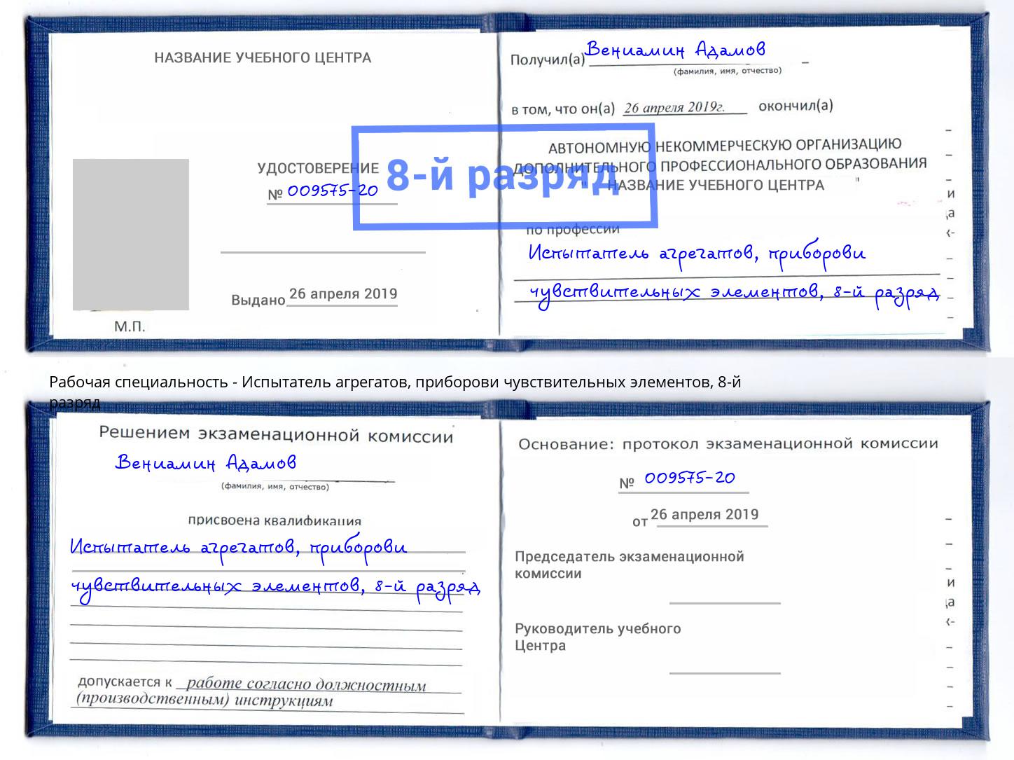 корочка 8-й разряд Испытатель агрегатов, приборови чувствительных элементов Рузаевка